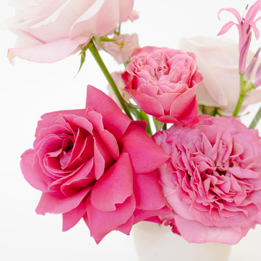 Pink Pot