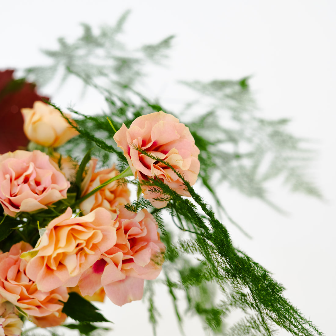 Velvet Bloom Pot Arrangement