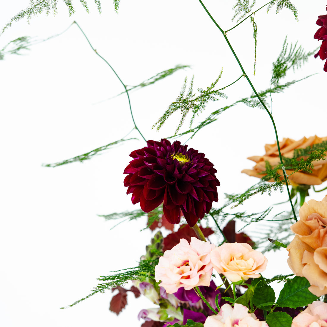 Velvet Bloom Bowl Arrangement