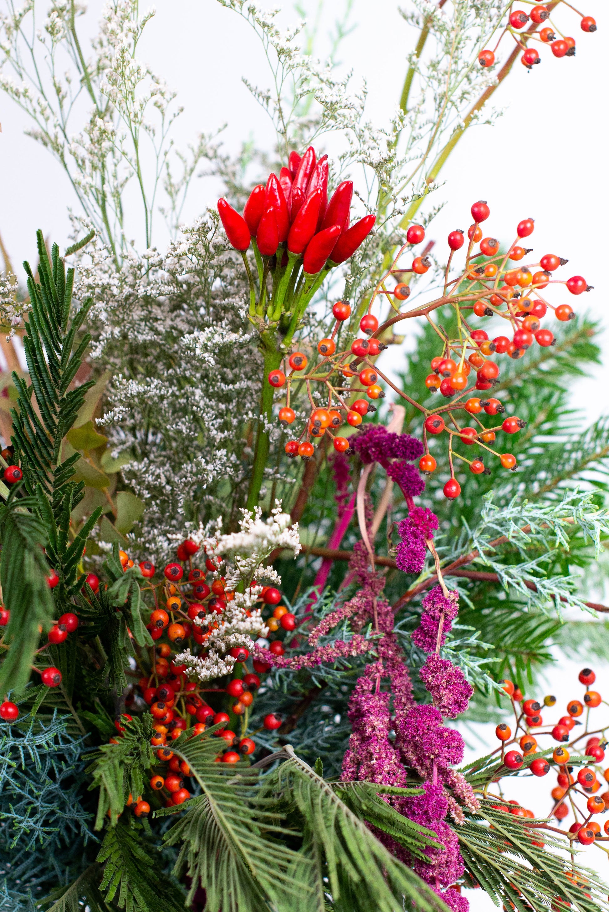 Festive Foliage
