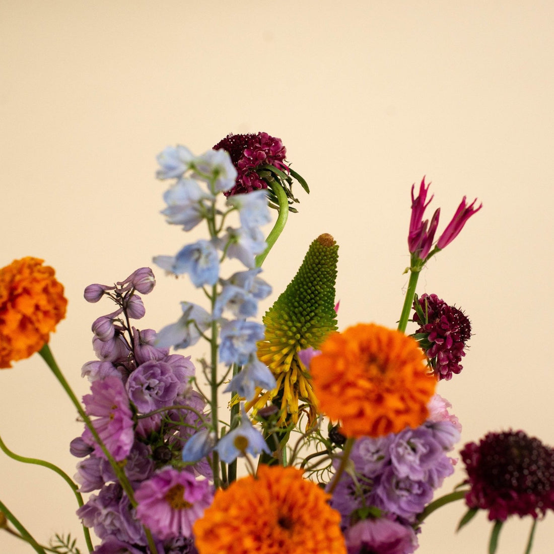 Colourful Bridal Bouquet