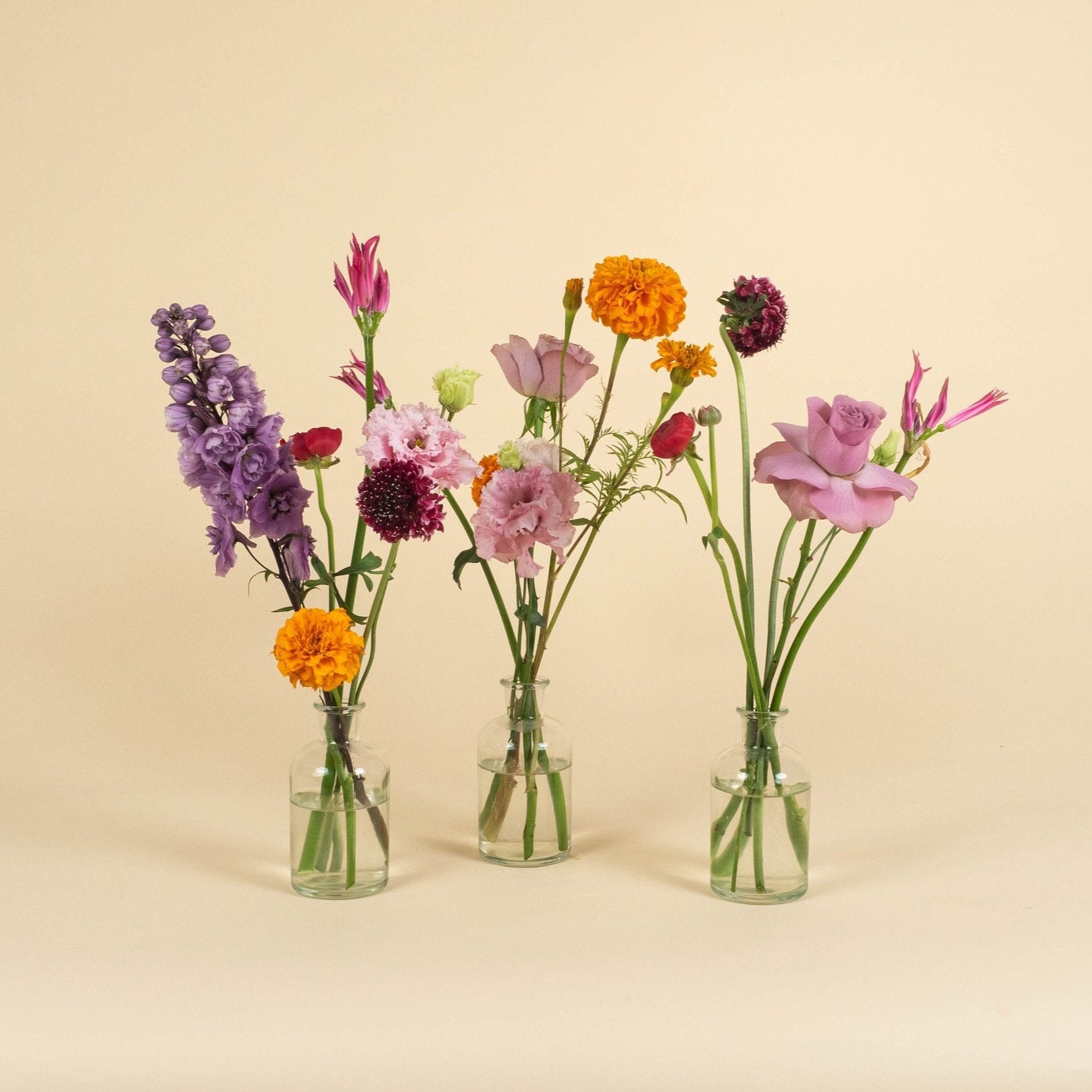 Colourful Bud Vase