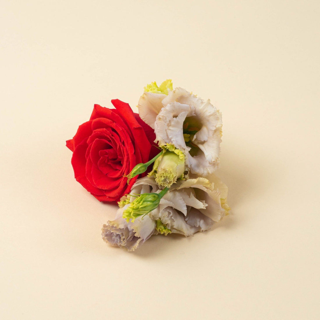 Weddings Workshop